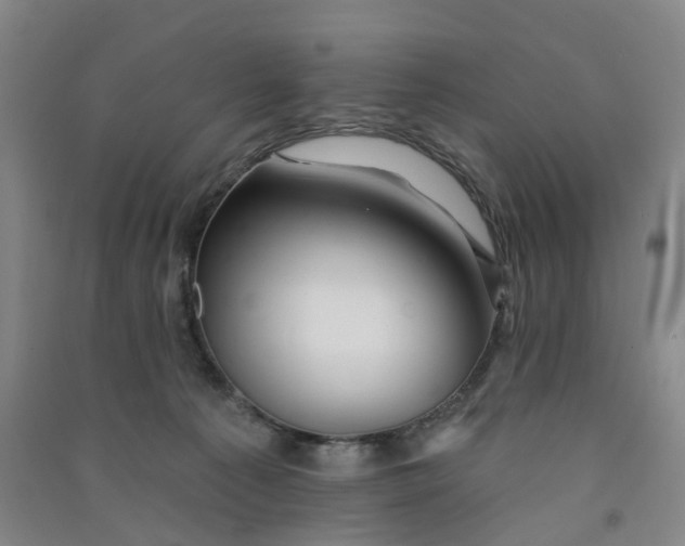 X0000091370225200708171552