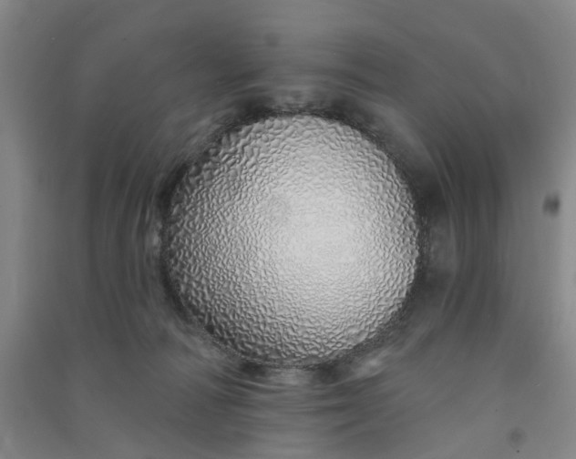 X0000091370226200708171552