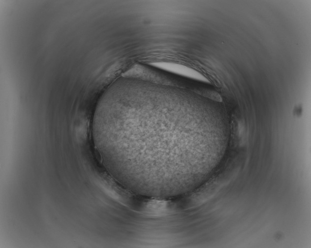 X0000091370227200708171552