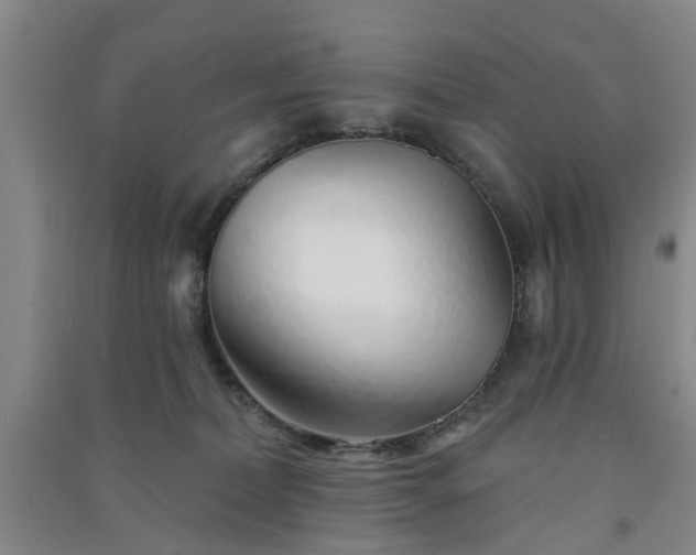 X0000091370228200708171552