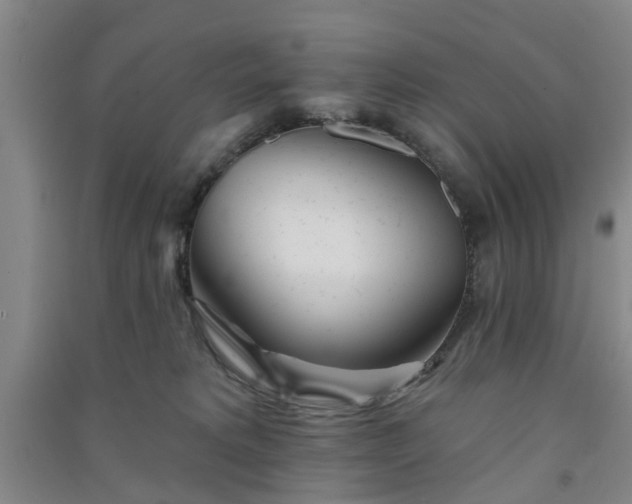 X0000091370229200708171552