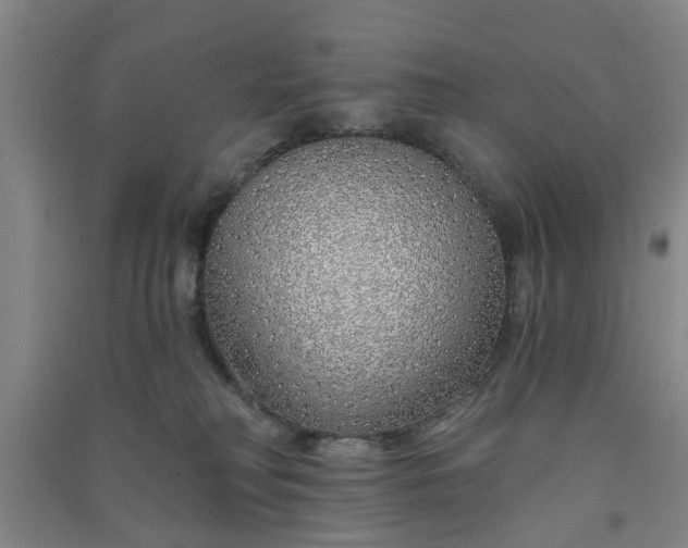 X0000091370230200708171552