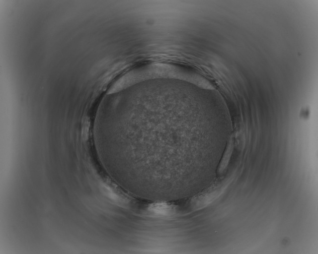 X0000091370231200708171552