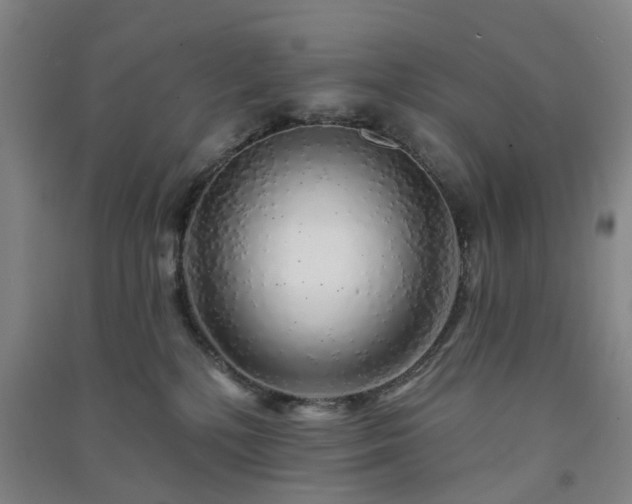 X0000091370232200708171552