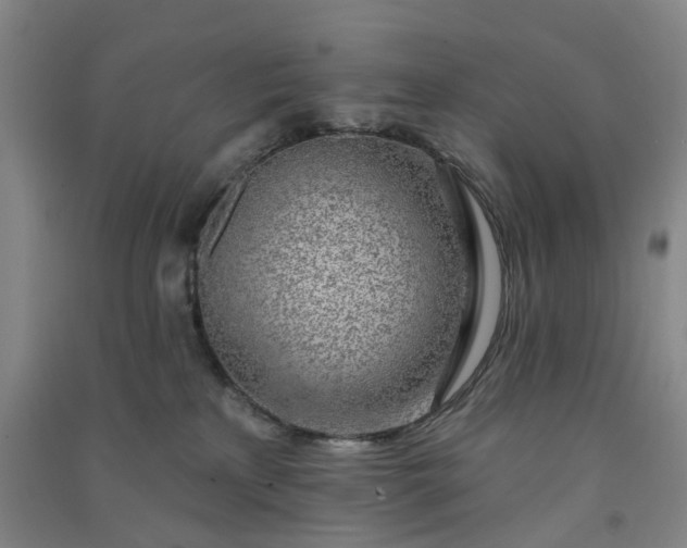 X0000091370233200708171552