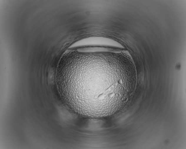 X0000091370234200708171552