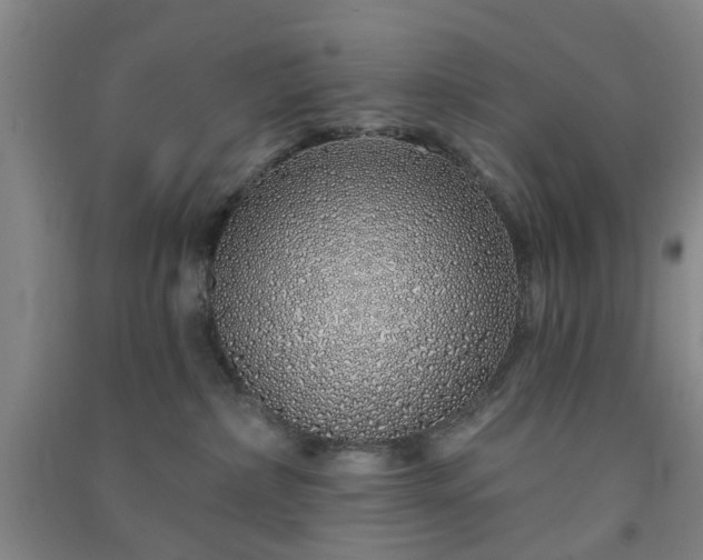 X0000091370236200708171552