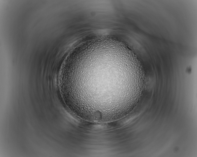 X0000091370238200708171551