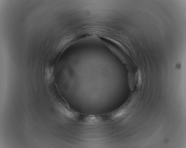 X0000091370239200708171551