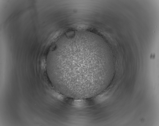 X0000091370240200708171551