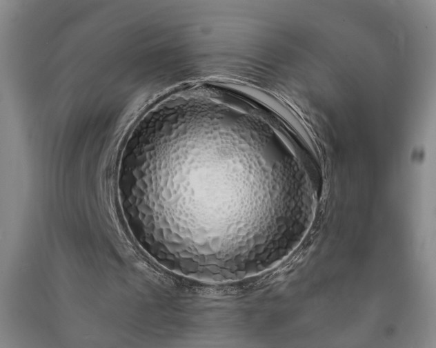 X0000091370241200708171551