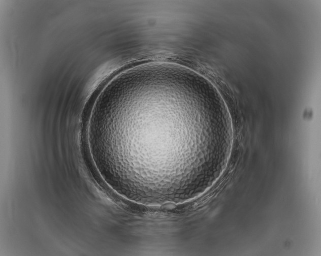 X0000091370242200708171551