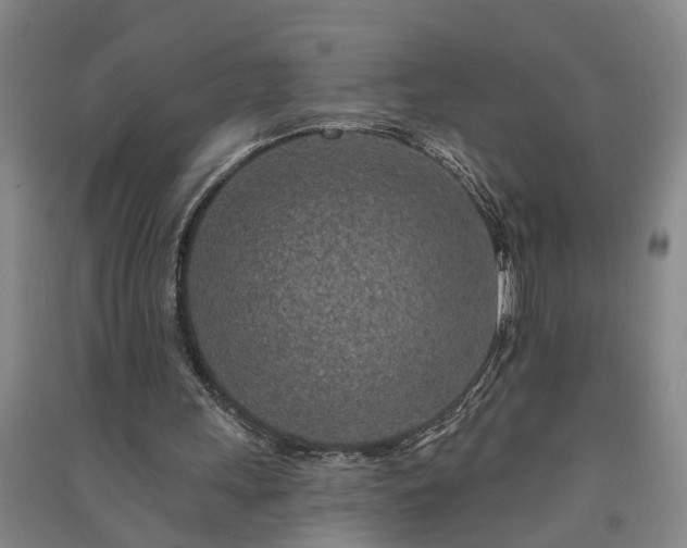 X0000091370243200708171551