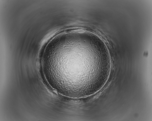 X0000091370245200708171551