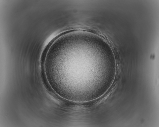 X0000091370246200708171551