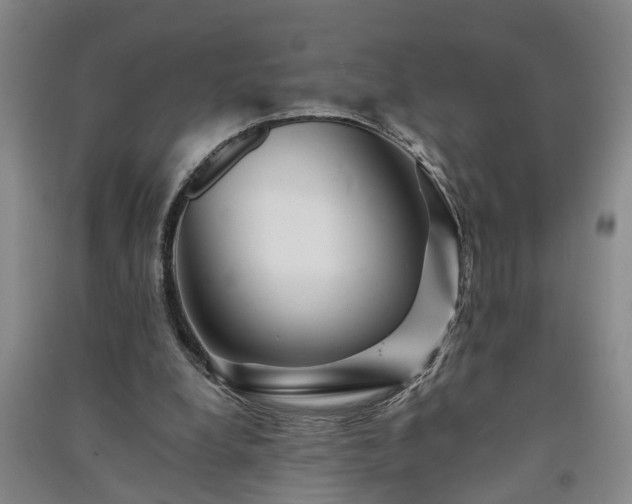 X0000091370248200708171551