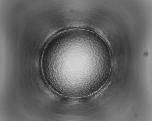 X0000091370249200708171551