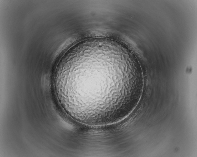 X0000091370250200708171551