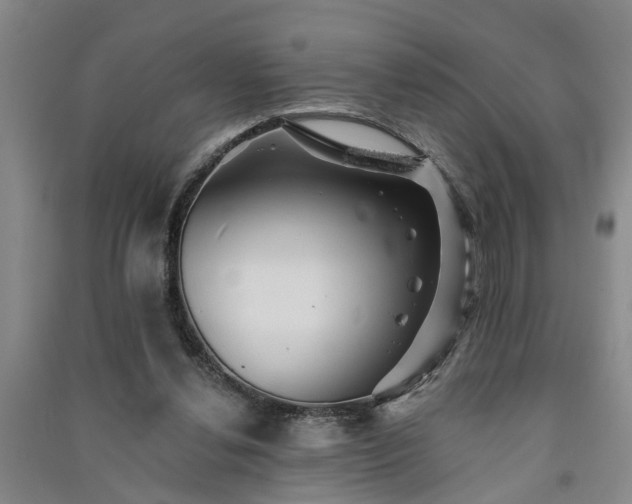 X0000091370252200708171551