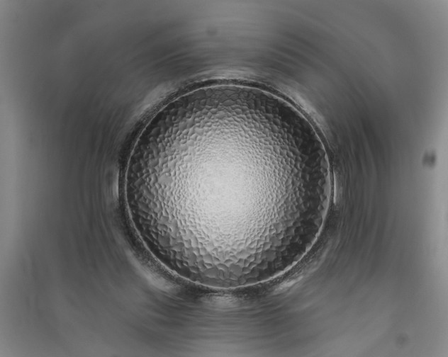 X0000091370253200708171551