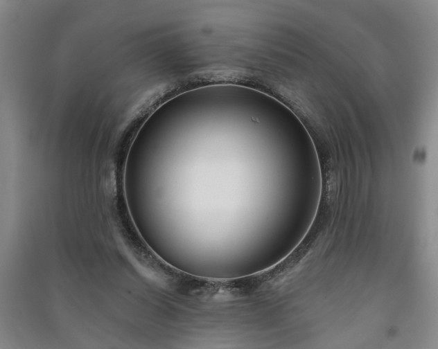 X0000091370254200708171551