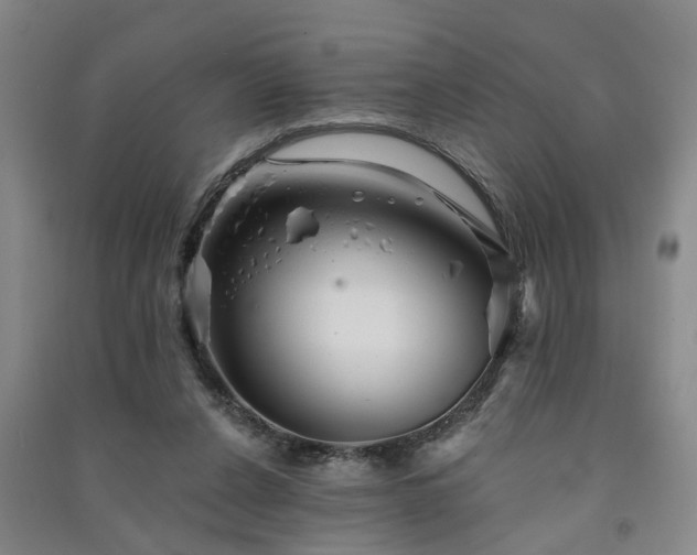 X0000091370256200708171551