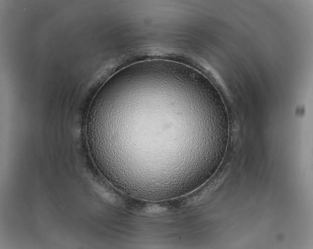 X0000091370257200708171551