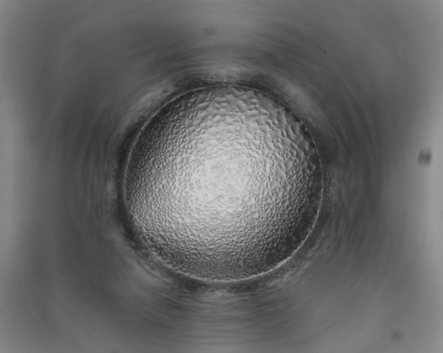 X0000091370258200708171551