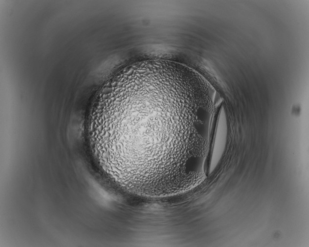 X0000091370259200708171551