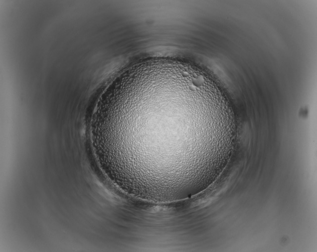 X0000091370261200708171551