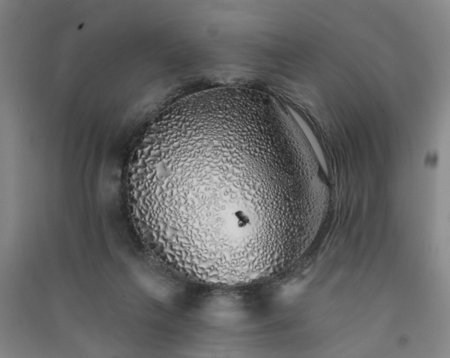 X0000091370263200708171551