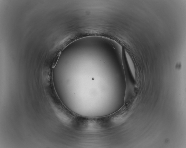 X0000091370264200708171551