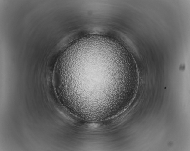 X0000091370265200708171551