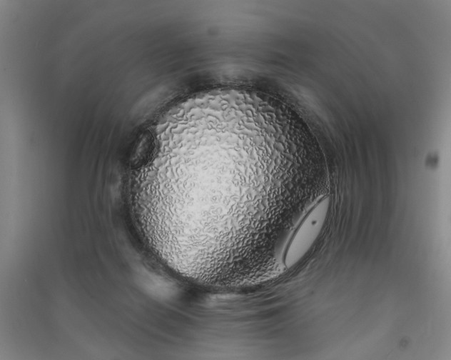 X0000091370266200708171551