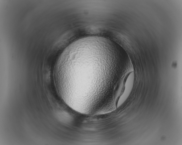 X0000091370267200708171551