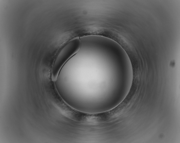 X0000091370268200708171551