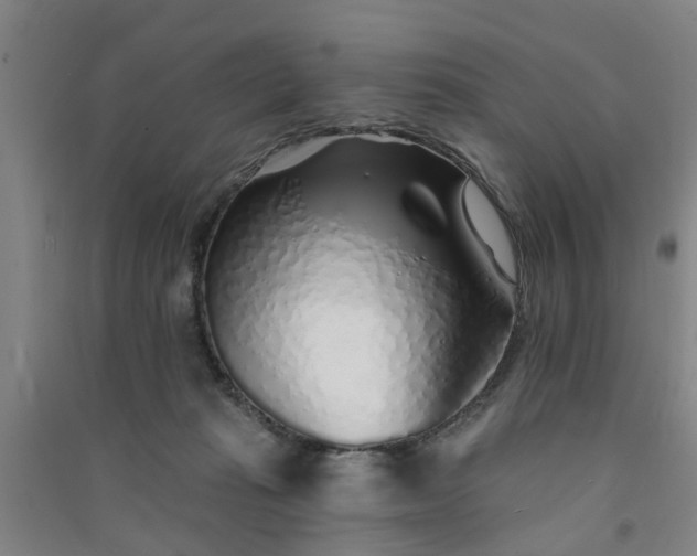 X0000091370269200708171551