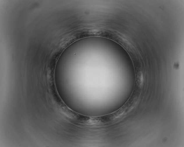 X0000091370270200708171551