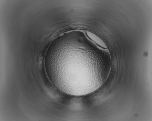 X0000091370271200708171551