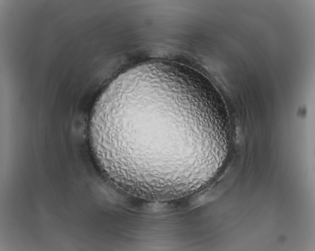 X0000091370273200708171551