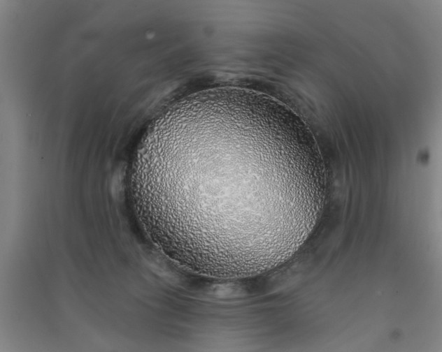 X0000091370275200708171551