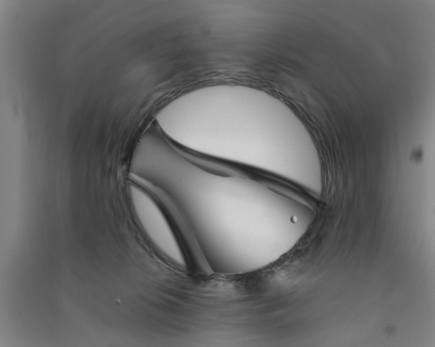 X0000091370276200708171551