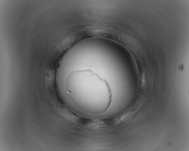 X0000091370278200708171551