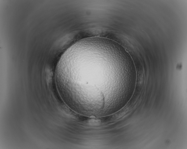 X0000091370279200708171551