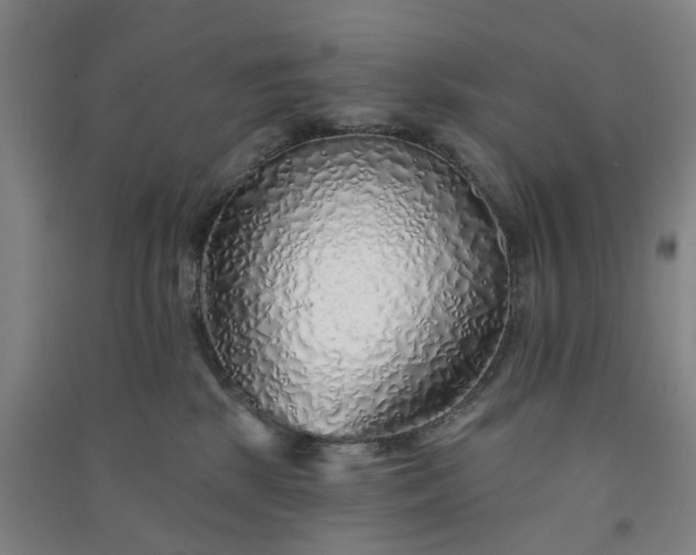 X0000091370281200708171551