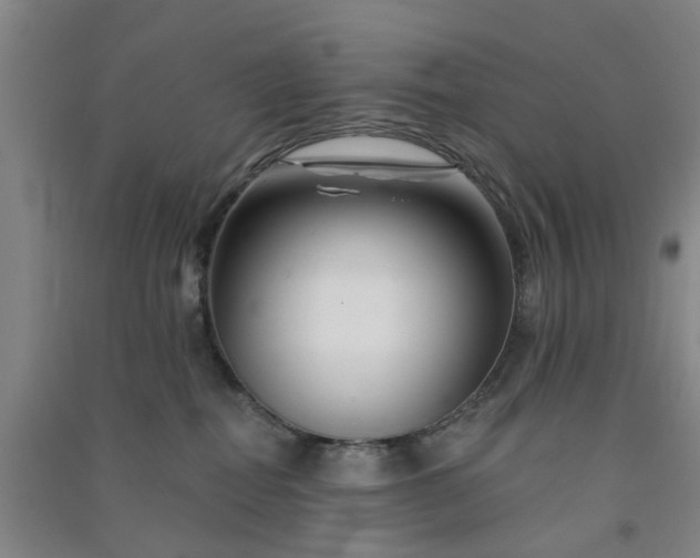 X0000091370282200708171551