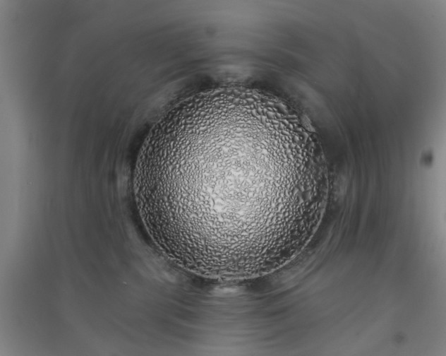 X0000091370283200708171551