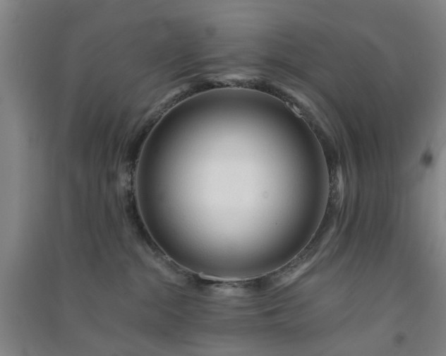 X0000091370284200708171551