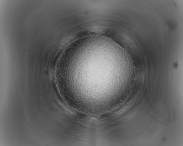 X0000091370285200708171551