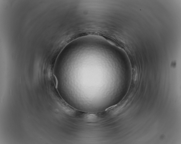 X0000091370287200708171551